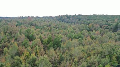 Aerial view of property's location