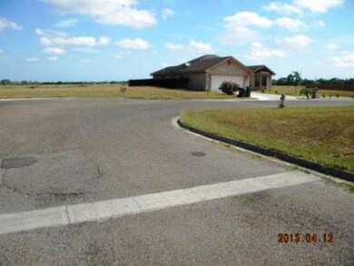 922 Villa Del Prado, Donna, TX 78537 - photo 4