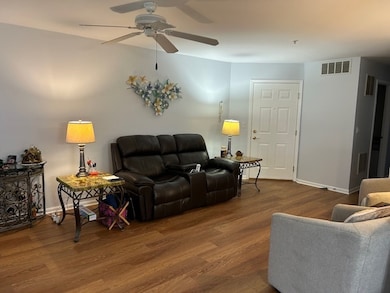 13931 S Bristlecone Dr unit A, Plainfield, IL 60544 - photo 6