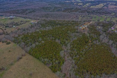 Lot 1 Parsons Ln, Harrodsburg, KY 40330 - photo 6