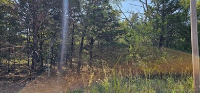 00000 E 994 Rd, Redbird Smith, OK 74435 - photo 5