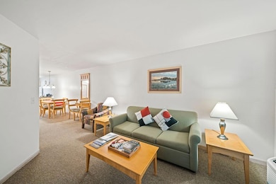 123 Center St unit 212, Lake Geneva, WI 53147 - photo 6