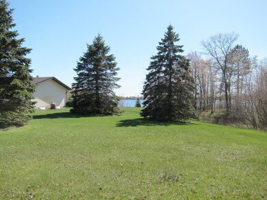 More Back Yard and Pine Tree Views