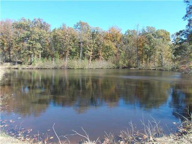 1 of 2 Ponds
