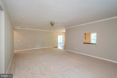 6910 Winthrop Ct, Fredericksburg, VA 22407 - photo 5