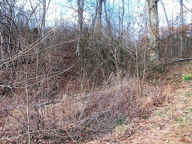 0 Highway 147 unit 2128486, Stewart, TN 37175 - photo 4