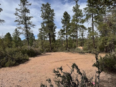 700 N Tyler Pkwy, Payson, AZ 85541 - photo 5