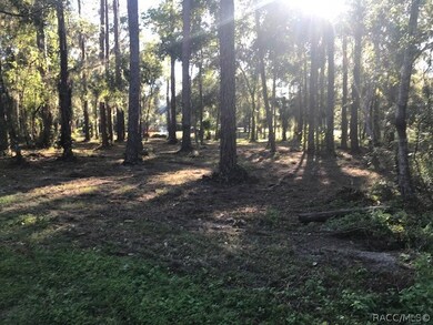 1879 E Ridgefield Dr, Hernando, FL 34442 - photo 7