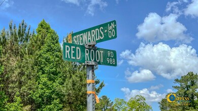 Red Root Drive-1