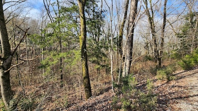 0 Wilson Cir unit RTC3059090, Smithville, TN 37166 - photo 7