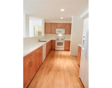 122 Elm Hill Ave unit 101, Dorchester, MA 02121 - photo 2