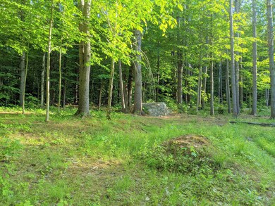 70 Newman Drew Rd, Ossipee, NH 03890 - photo 6