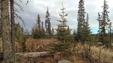 240 acre (5)