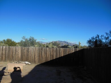 Looking E from Back Yard