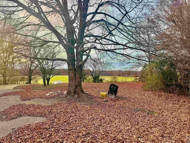 842 S Wolverine Rd, Troy, TN 38260 - photo 5