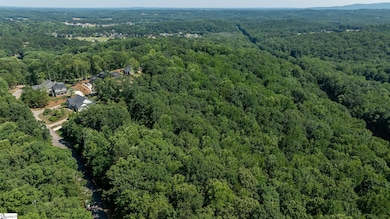 313 Laurel Valley Way, Travelers Rest, SC 29690 - photo 4