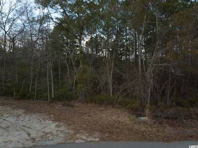 Street view 1