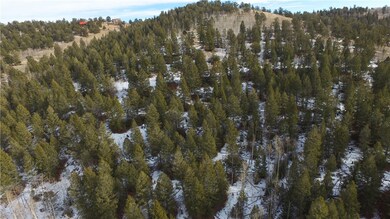 1140 Caracara Ln, Como, CO 80432 - photo 6