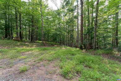 TBD Decca Ln, Charlottesville, VA 22901 - photo 6