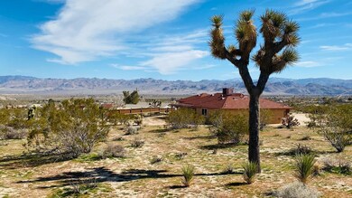 IMG_1830