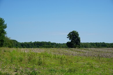 2019-06-27 11.57.44