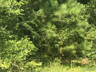 8346 Cedar Mountain Rd, Pinson, AL 35126 - photo 4