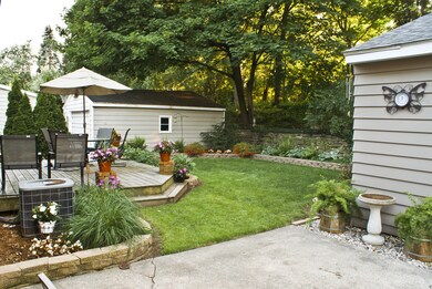 BACKYARD2