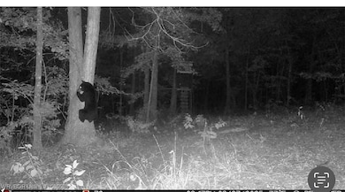 / Mickels Switch Rd, Danville, AR 72833 - photo 3