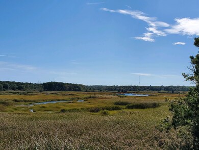 Marsh view