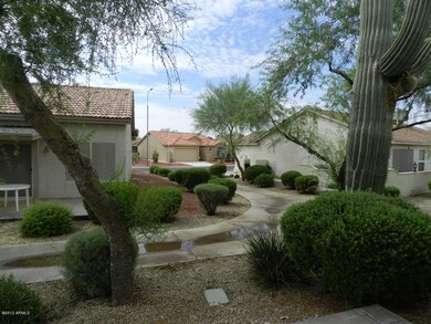 view from patio