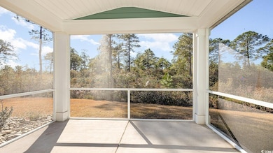 717 Doonbeg Ct, Conway, SC 29526 - photo 5