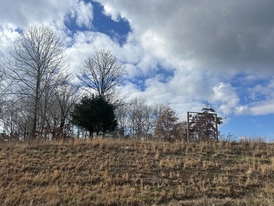 Lot 49