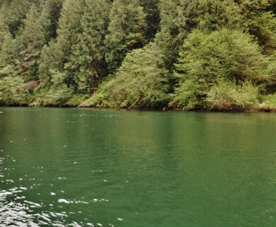 Alsea River Near By!