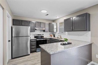 46 Meadow Run Ct unit 5, Saint Peters, MO 63303 - photo 7