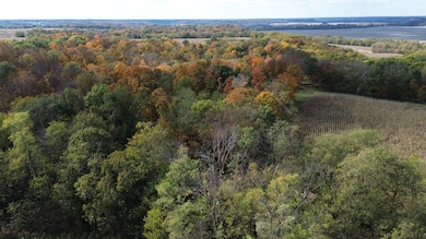 0000 Pawnee Dr, New London, MO 63459 - photo 2