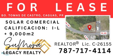 PR 183 INT 789 BO TOMAS DE CASTRO, CAGUAS PR