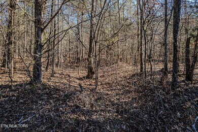 5 acres S Nopone Valley Rd, Decatur, TN 37322 - photo 5