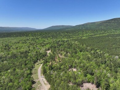 4 Tbd Big Cedar Oklahoma, Big Cedar, OK 74939 - photo 3