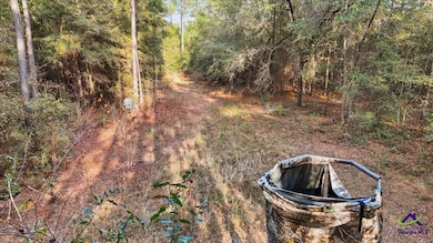 0 Massey Rd unit 257640, Tennille, GA 31089 - photo 5