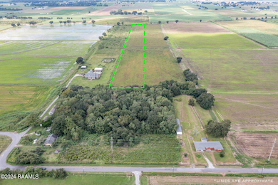 Tbd Wilson Rd, Maurice, LA 70555 - photo 3