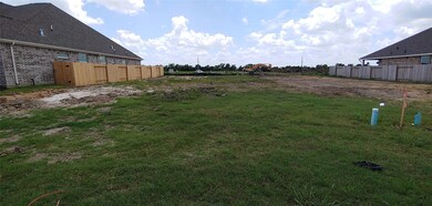 1853 Belle Place, Alvin, TX 77511 - photo 6