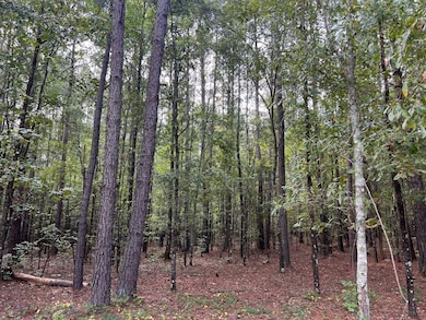 U S 76, Honea Path, SC 29654 - photo 2