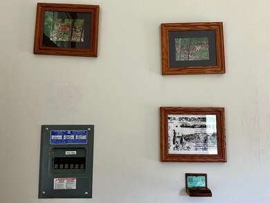 VickersCottage-ElectricPanel-TrailCamPic