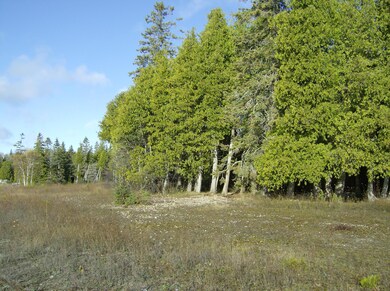 Lakefront Cleared Building SIte