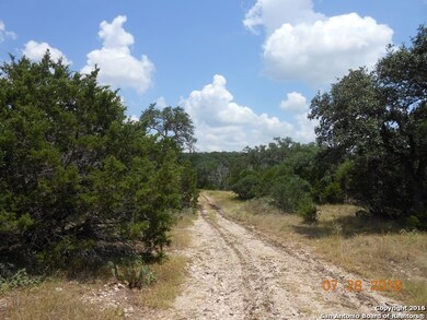 6145 County Road 251, Hondo, TX 78861 - photo 2