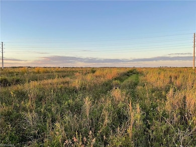 6694 5th Rd, Labelle, FL 33935 - photo 2