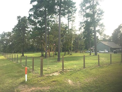 26001 W Lake View Ct, Hockley, TX 77447 - photo 5