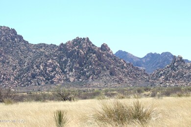 IMG_1840 (1)
