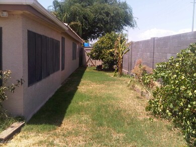 side yard with banana tree