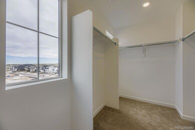 7456 Whiteclover Trail, Littleton, CO 80125 - photo 7